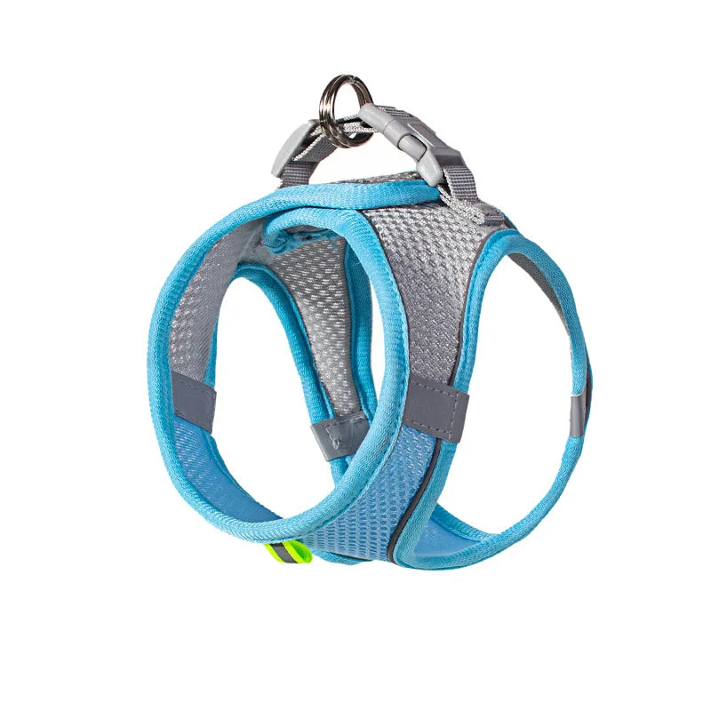 Adjustable Puppy Harness & Leash Set