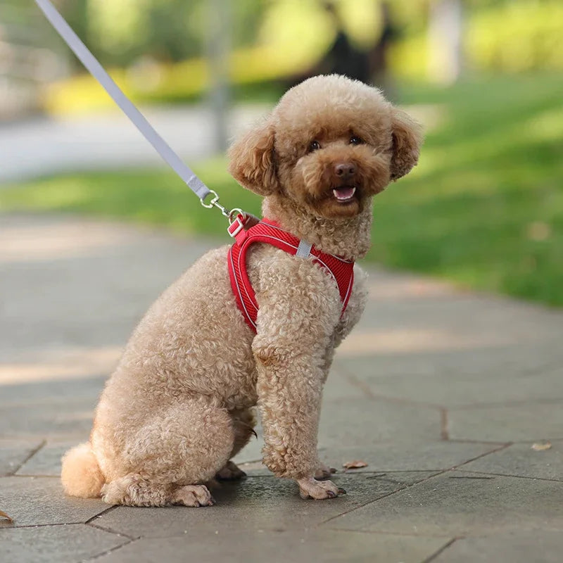 Adjustable Puppy Harness & Leash Set