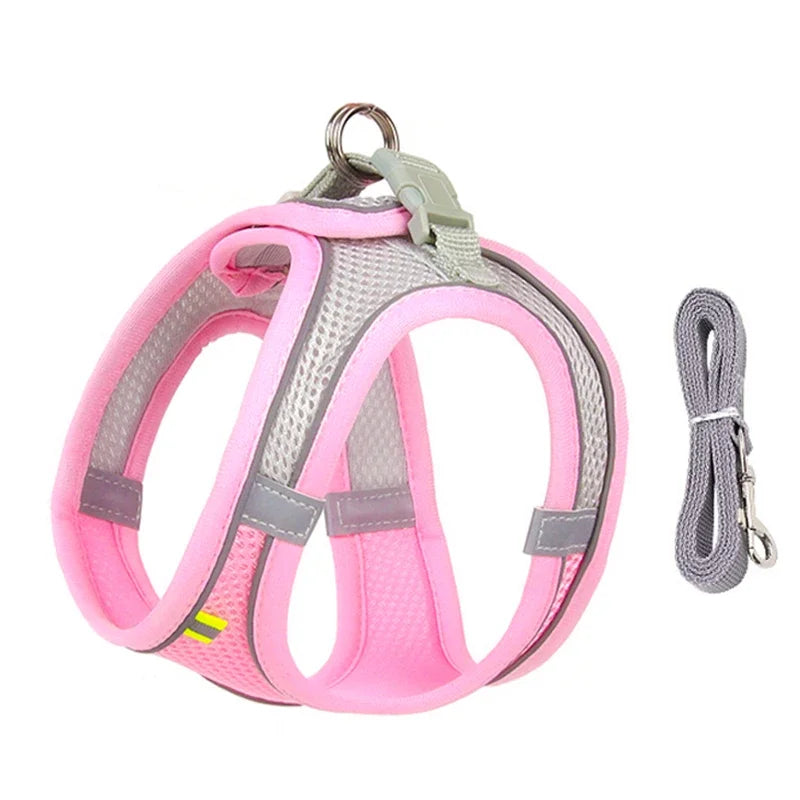 Adjustable Puppy Harness & Leash Set