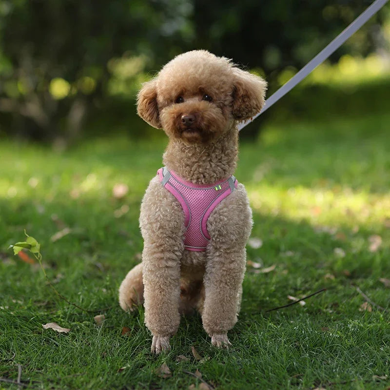 Adjustable Puppy Harness & Leash Set