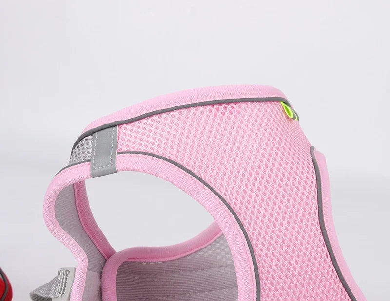 Adjustable Puppy Harness & Leash Set