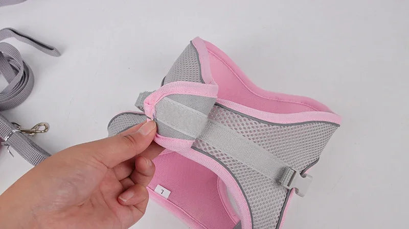 Adjustable Puppy Harness & Leash Set