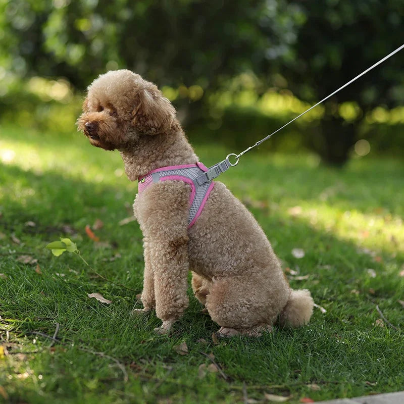 Adjustable Puppy Harness & Leash Set