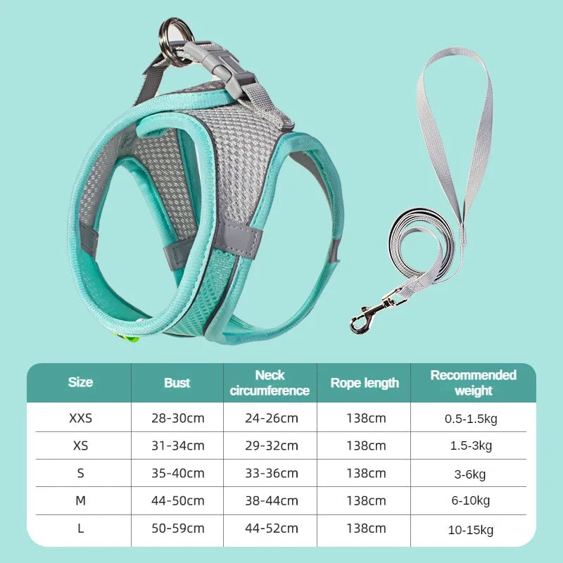 Adjustable Puppy Harness & Leash Set