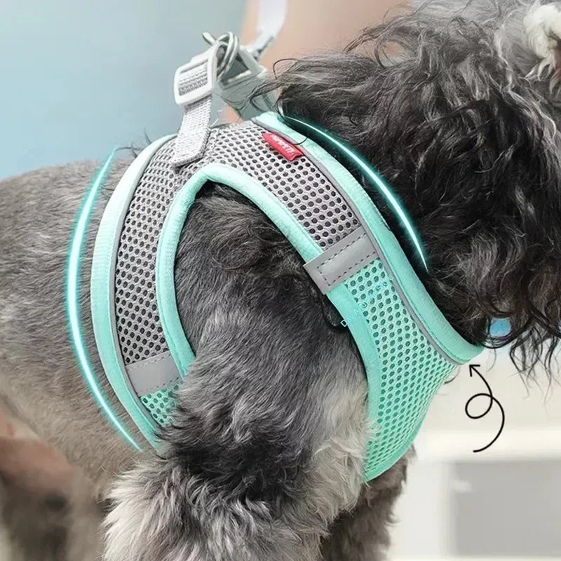Adjustable Puppy Harness & Leash Set