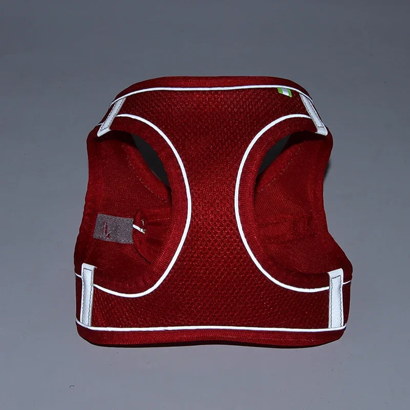 Adjustable Puppy Harness & Leash Set