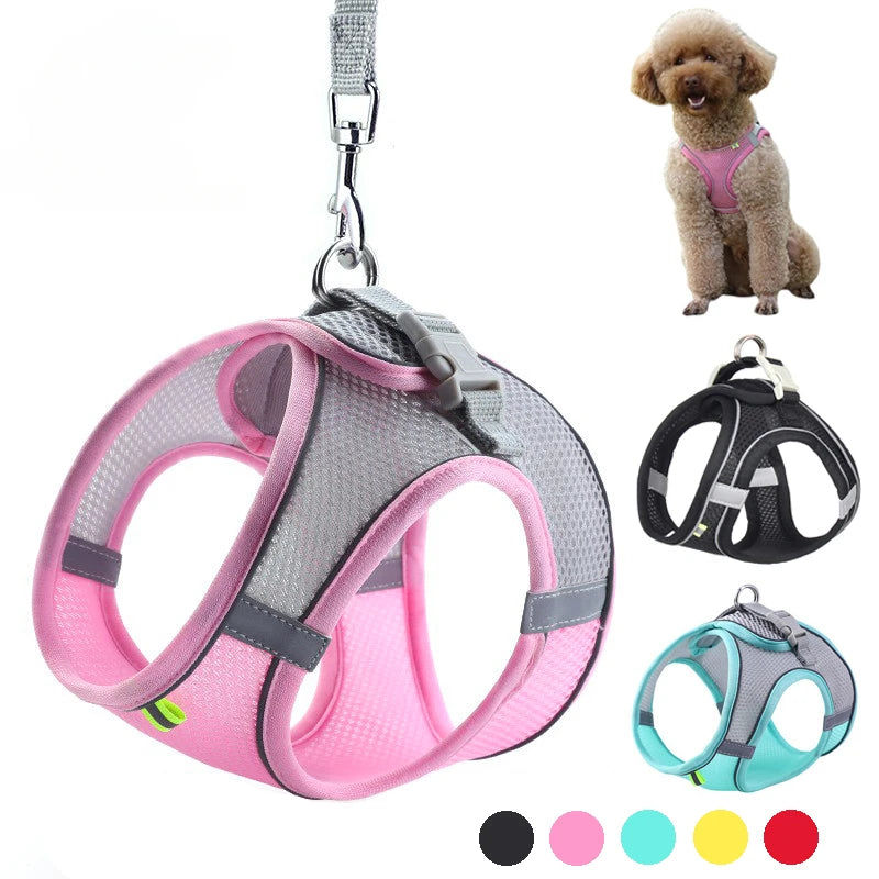 Adjustable Puppy Harness & Leash Set