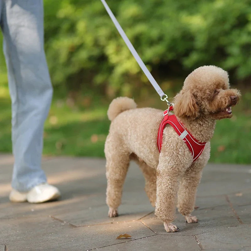 Adjustable Puppy Harness & Leash Set