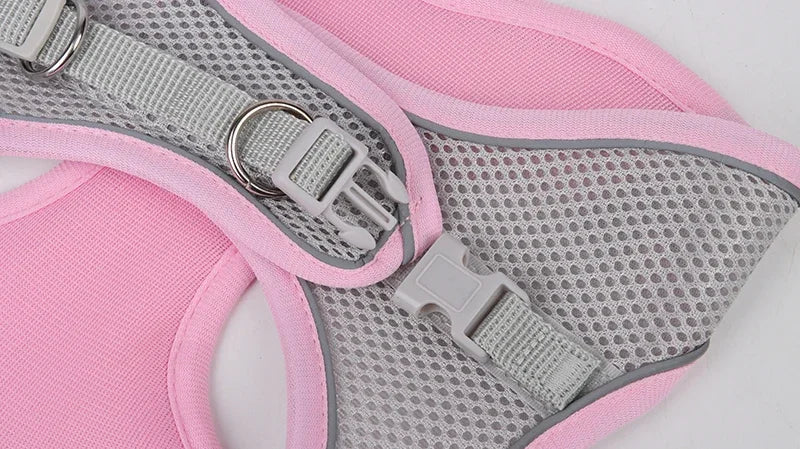 Adjustable Puppy Harness & Leash Set