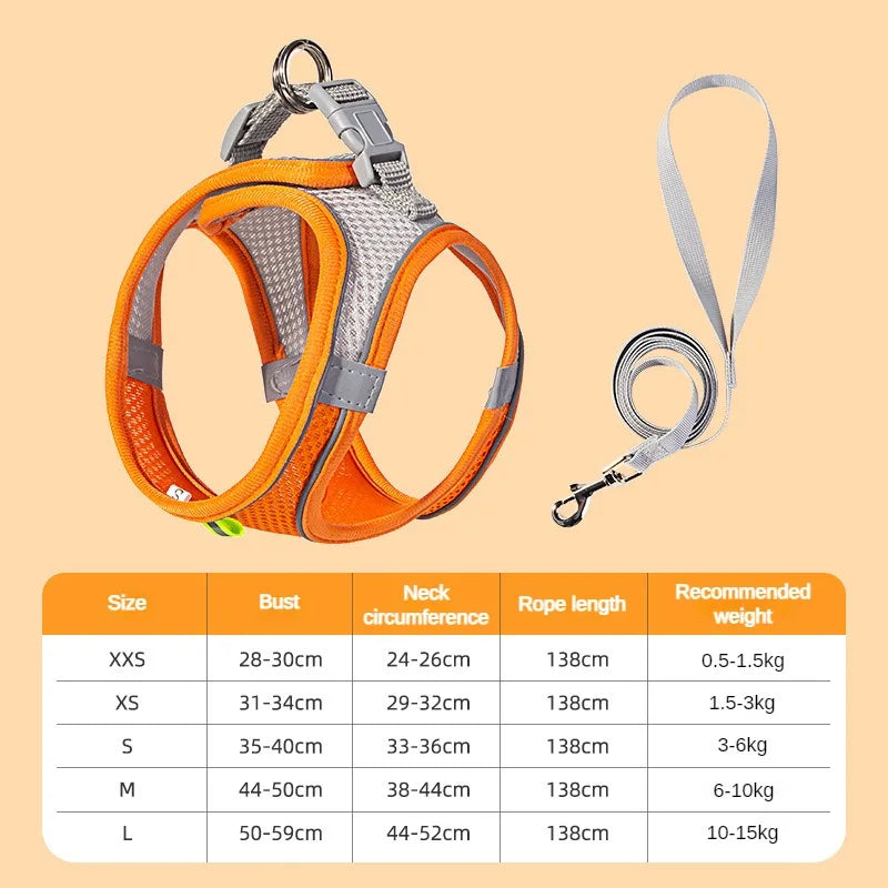 Adjustable Puppy Harness & Leash Set