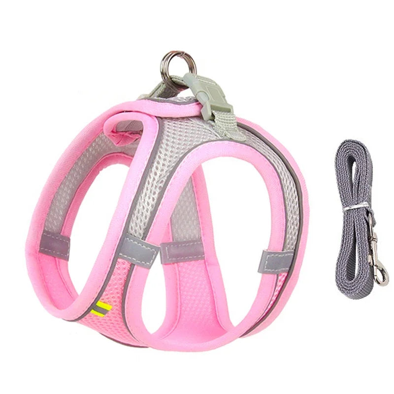 Adjustable Puppy Harness & Leash Set