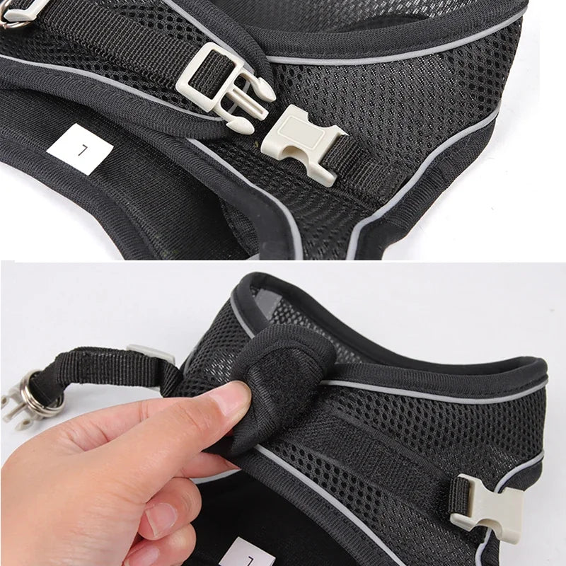 Adjustable Puppy Harness & Leash Set