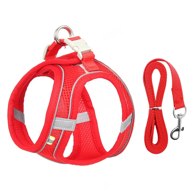 Adjustable Puppy Harness & Leash Set