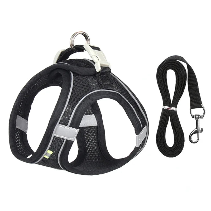 Adjustable Puppy Harness & Leash Set