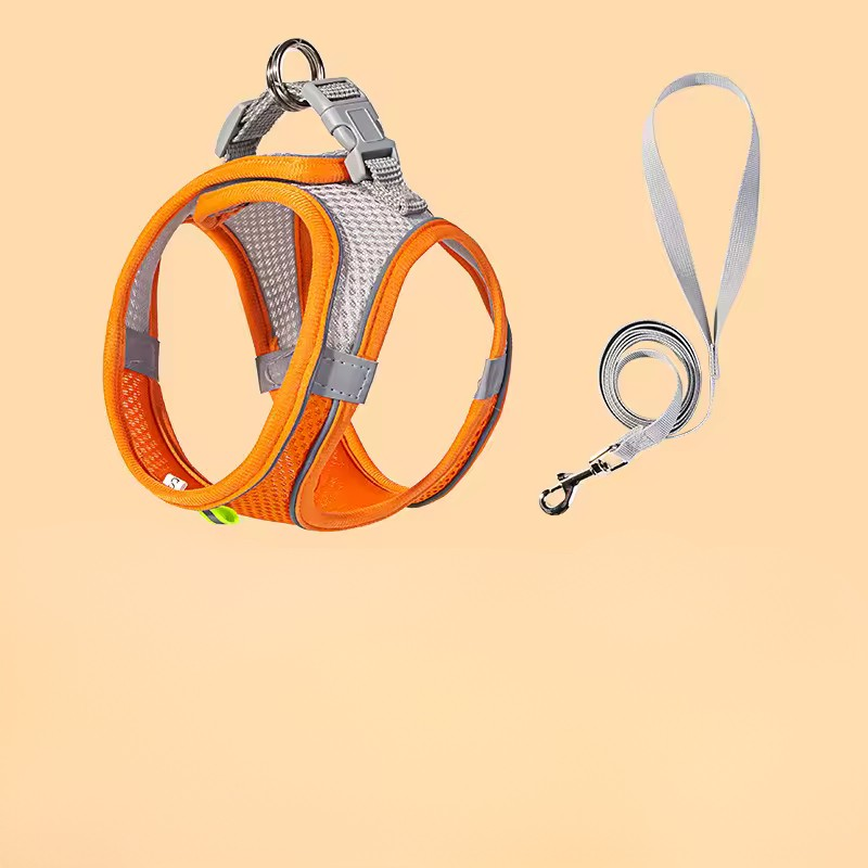 Adjustable Puppy Harness & Leash Set