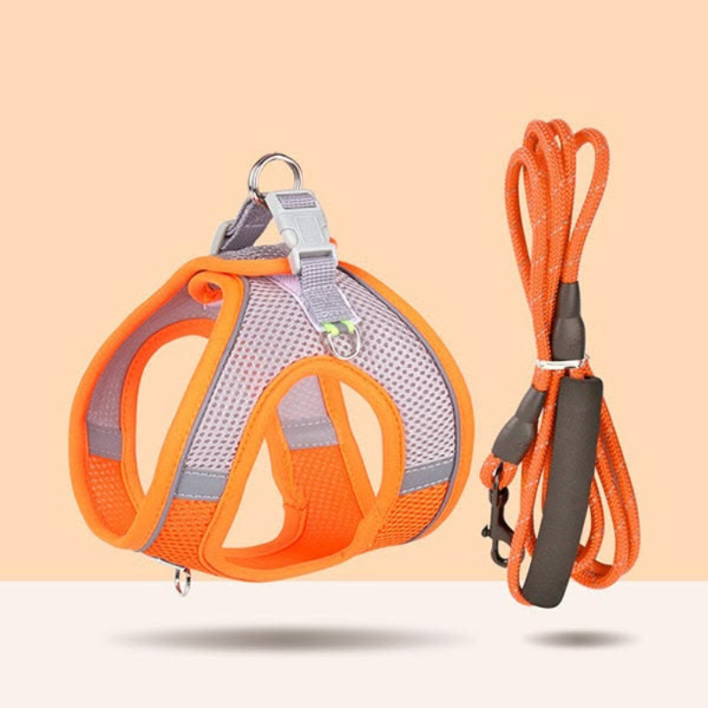 Adjustable Puppy Harness & Leash Set